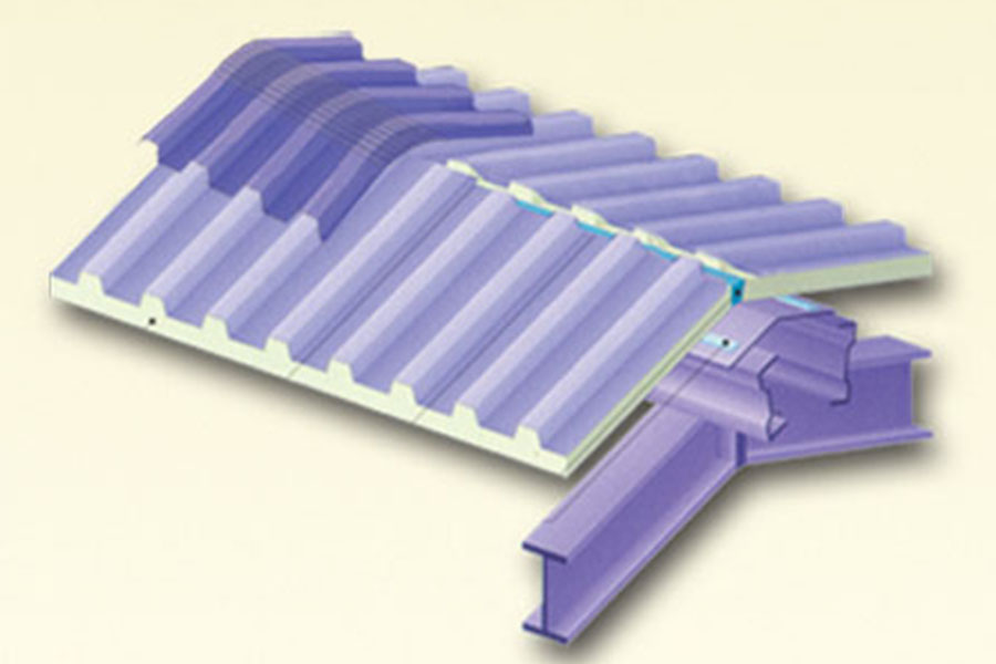 فلاشینگ تاج